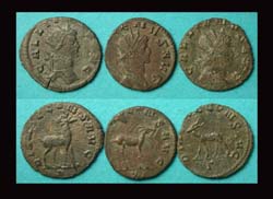 Gallienus, Zoo Issues, Stag, Antelope and Gazelle, 3-Pack!